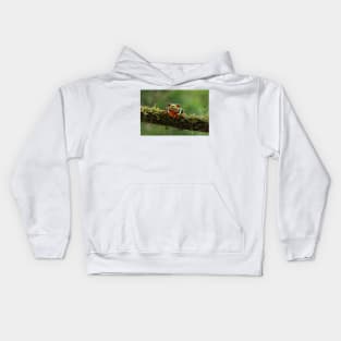 Red-eyed Tree Frog - Costa Rica Kids Hoodie